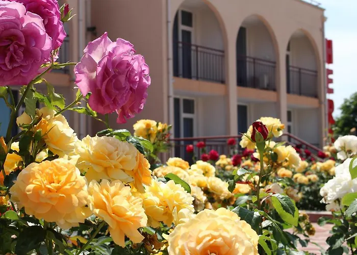 Hera 3* Созополь