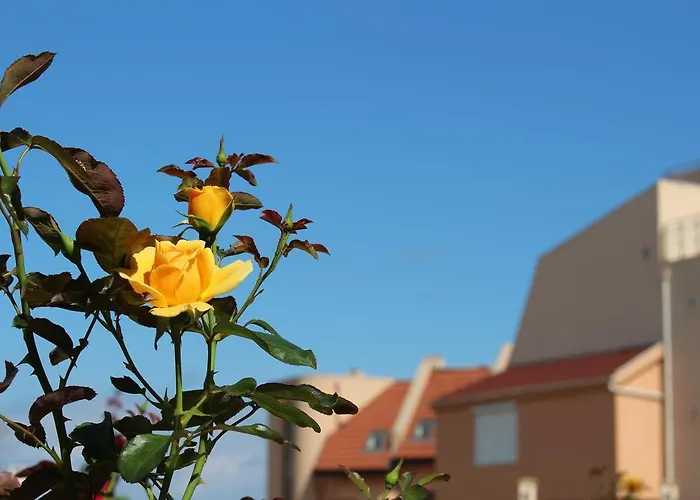 Hera Созополь